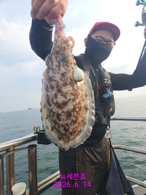 KakaoTalk_20260614_143749692_12.jpg