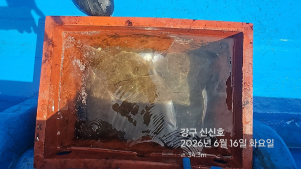 신신낚시 강구점 신신호_사진_20260616_2.jpg
