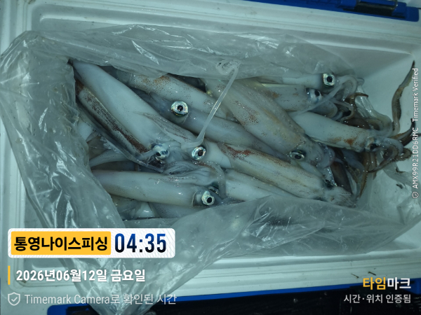 2026-06-12 04.35.34__(제목-통영나이스피싱).jpg