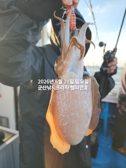 KakaoTalk_20260621_071531195_01.jpg