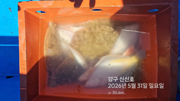 신신낚시 강구점 신신호_사진_20260531_15.jpg