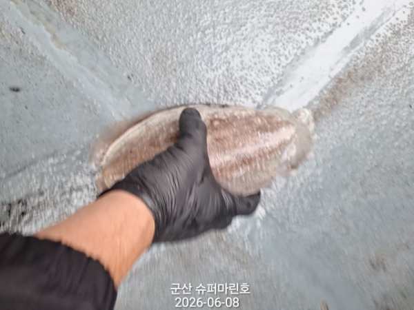 1000045980.jpg