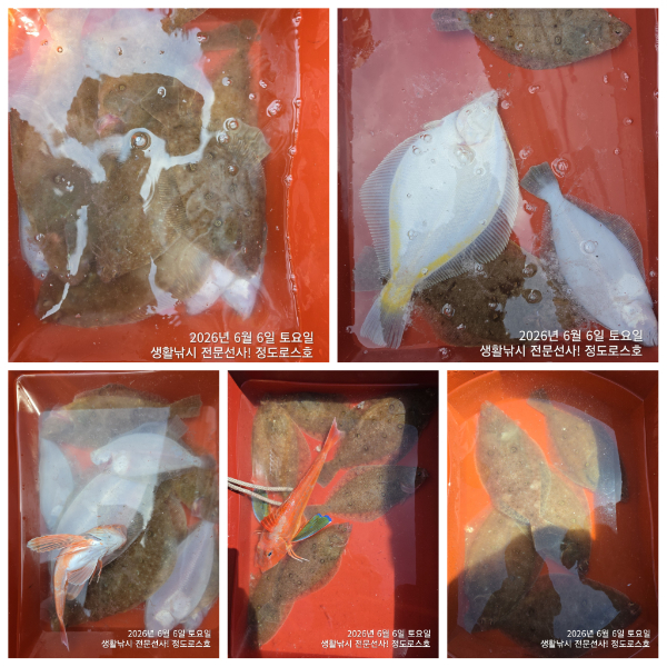 PhotoCollage_1780961426798.jpg