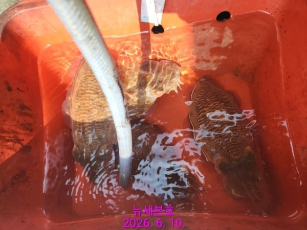 나만의밴드♥_사진_20260610_6.jpg