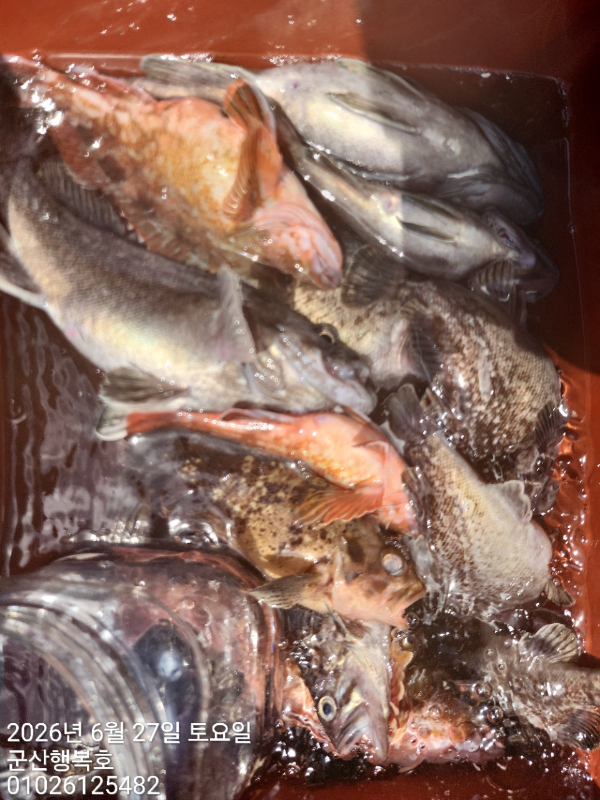 군산행복호_사진_20260627_5.jpg