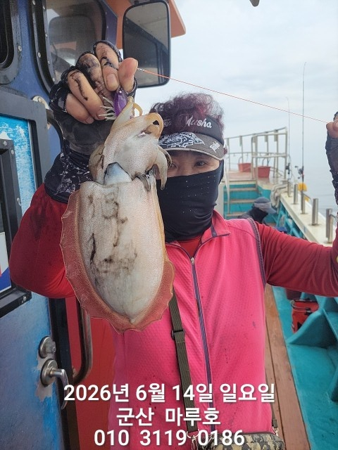 KakaoTalk_20260614_072646376.jpg