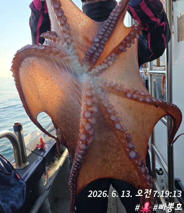 5_126Ud018svclbr9f1nud3lv_dr7uux.jpg