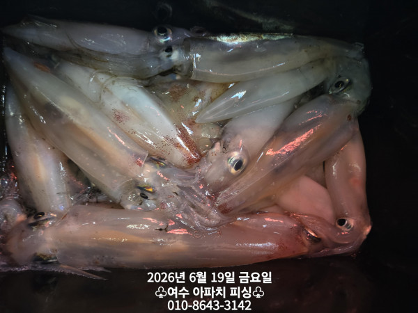 KakaoTalk_20260620_164006498_06.jpg