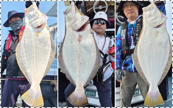 collage1.png