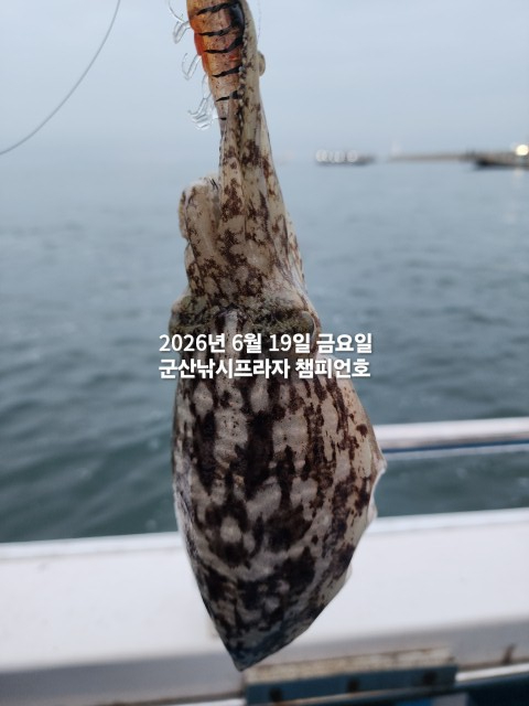 KakaoTalk_20260619_062639704_02.jpg