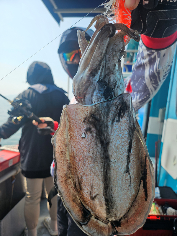 KakaoTalk_20260628_151326774_13.jpg