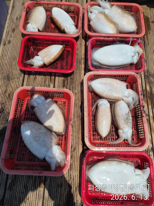 IMG_20260613_120735.jpg