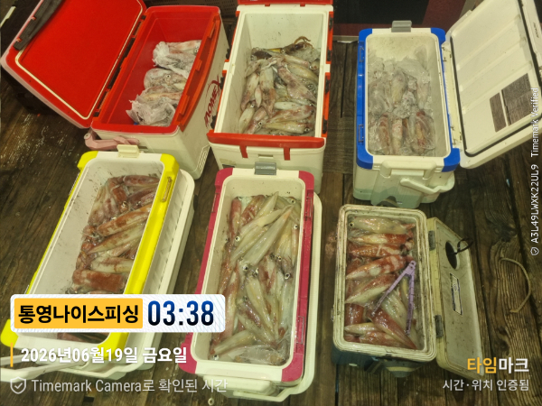 2026-06-19 03.38.53__(제목-통영나이스피싱).jpg