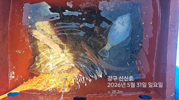 신신낚시 강구점 신신호_사진_20260531_9.jpg