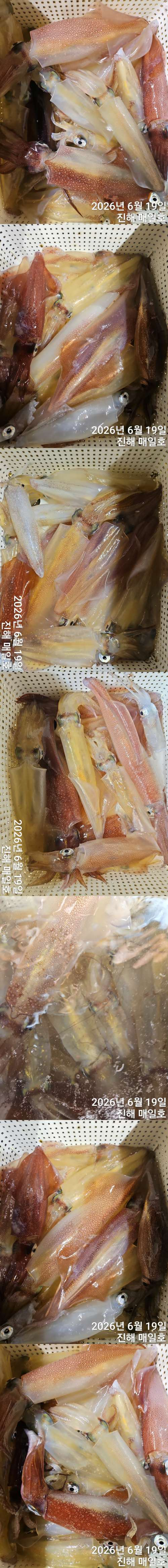 왕한치2.jpg