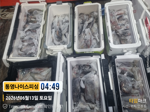 2026-06-13 04.49.54__(제목-통영나이스피싱).jpg