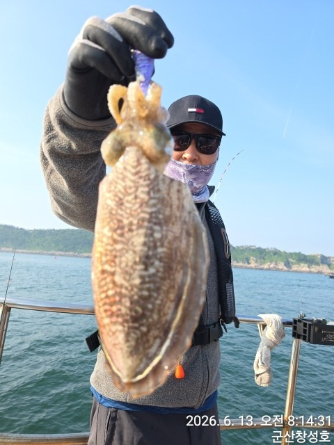 KakaoTalk_20260613_084830847.jpg