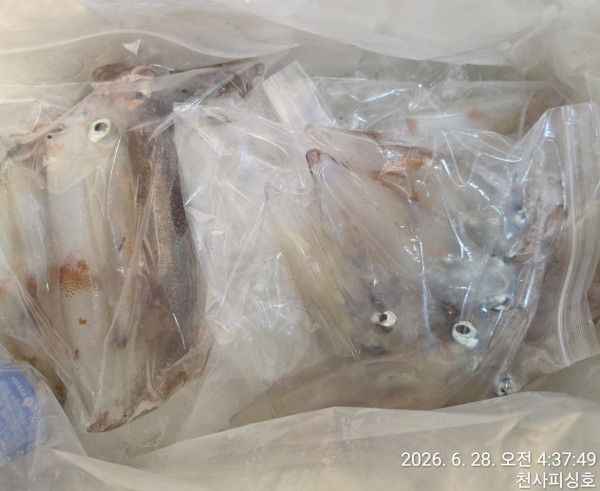 1004피싱_사진_20260628_16.jpg
