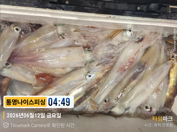 2026-06-12 04.49.04__(제목-통영나이스피싱).jpg