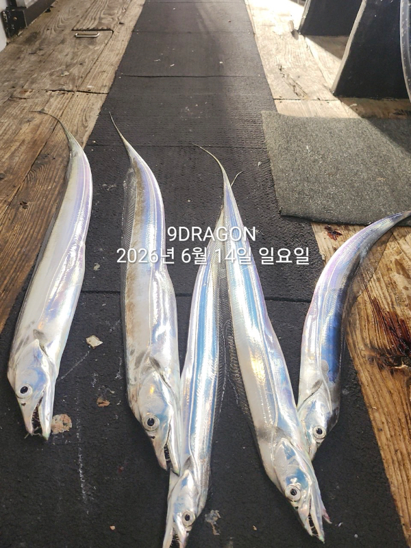 0A611392-06E3-4F6F-AA08-05AB210AD970.jpeg