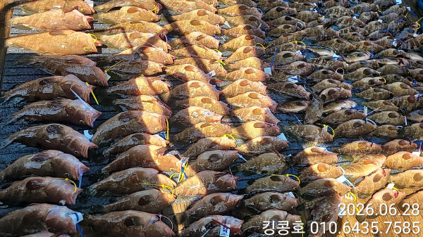 1000013123.jpg