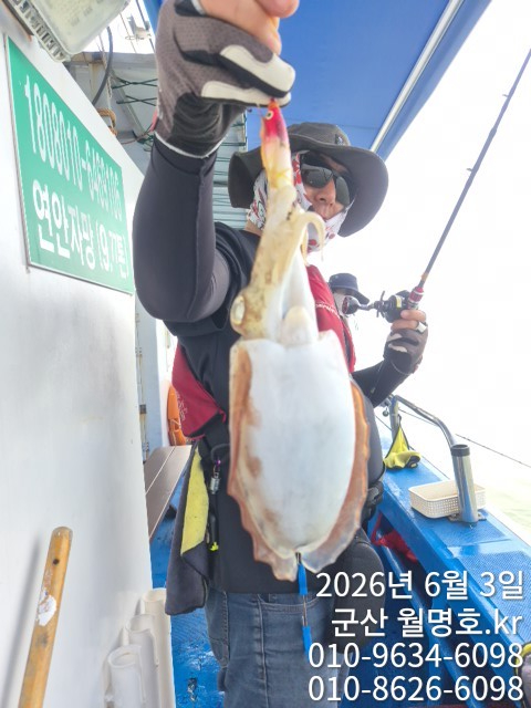 8161.jpg