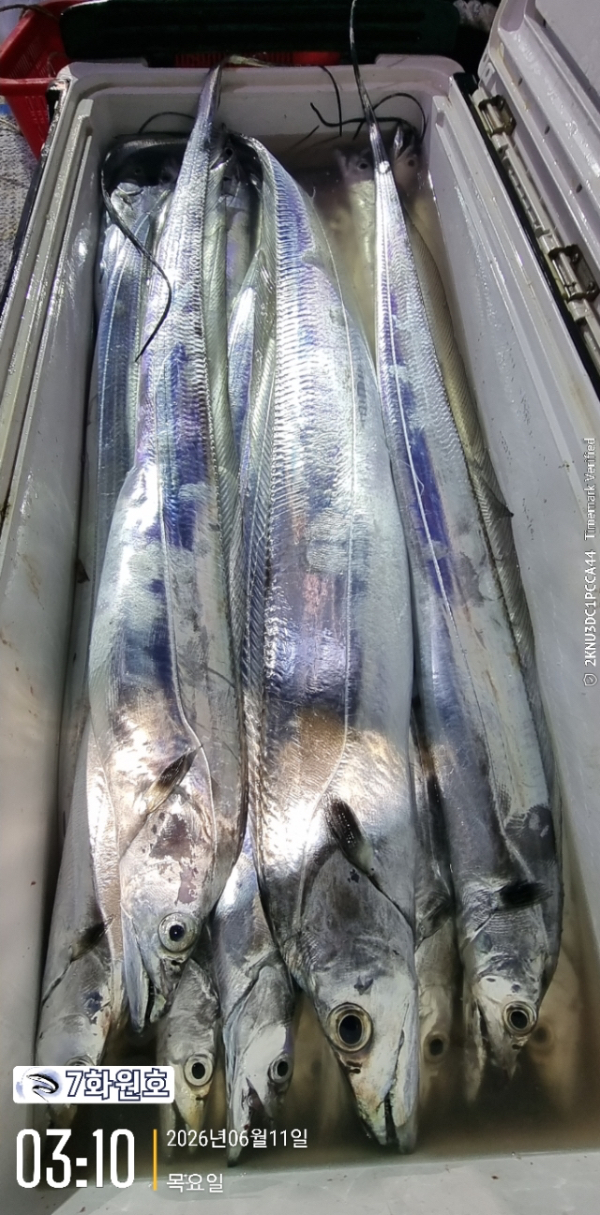 FD3D1CF8-201D-4271-A934-0E66C1DB3FC5.jpeg
