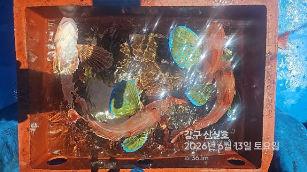 신신낚시 강구점 신신호_사진_20260613_4.jpg