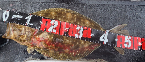 19025.jpg