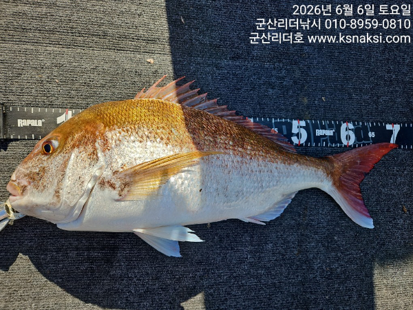 1780729305117.jpg