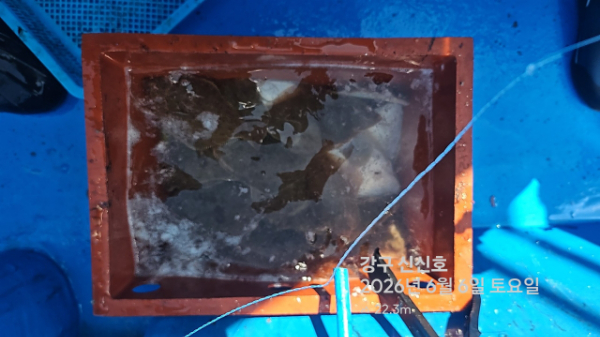 신신낚시 강구점 신신호_사진_20260606_12.jpg