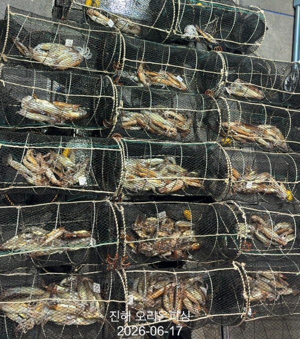 KakaoTalk_20260618_071652320.jpg