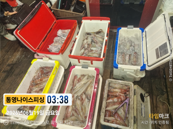 2026-06-19 03.38.44__(제목-통영나이스피싱).jpg