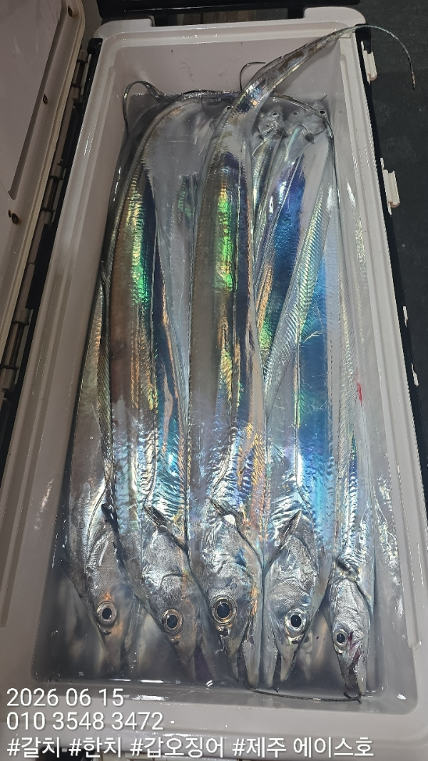 KakaoTalk_20260615_122001818_08.jpg