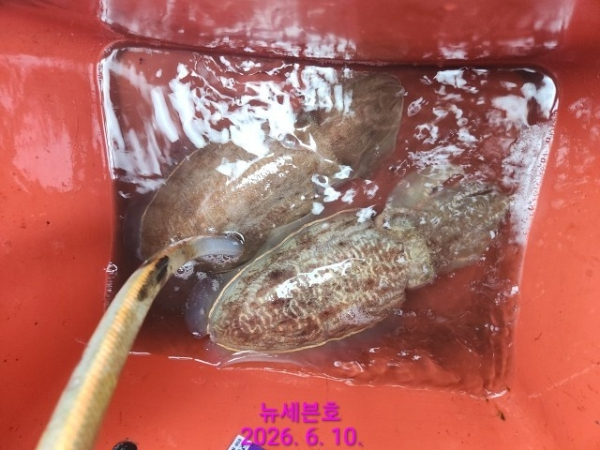 나만의밴드♥_사진_20260610_1.jpg