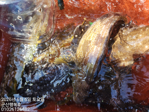 군산행복호_사진_20260606_15.jpg