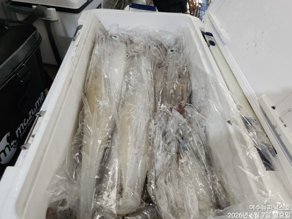 6얼7일한치 (12).jpg