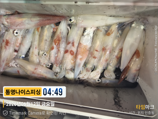 2026-06-12 04.49.02__(제목-통영나이스피싱).jpg