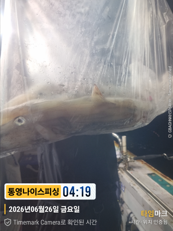 2026-06-26 04.19.42__(제목-통영나이스피싱).jpg