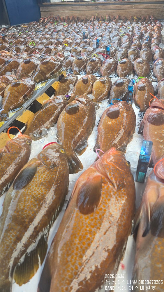 KakaoTalk_20260614_211707544-5.jpg