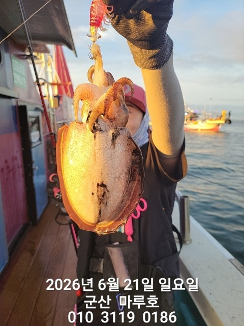 KakaoTalk_20260621_054311003.jpg