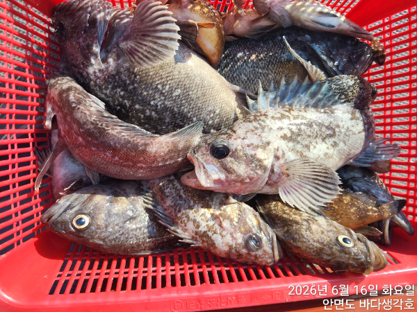 KakaoTalk_20260616_175901964.jpg