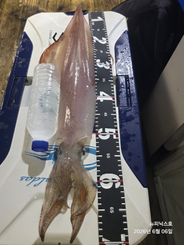 2406얼7일한치 (49).jpg