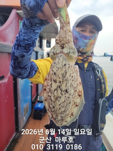 KakaoTalk_20260614_071929884.jpg