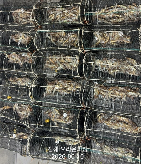 KakaoTalk_20260610_043627038_17.jpg