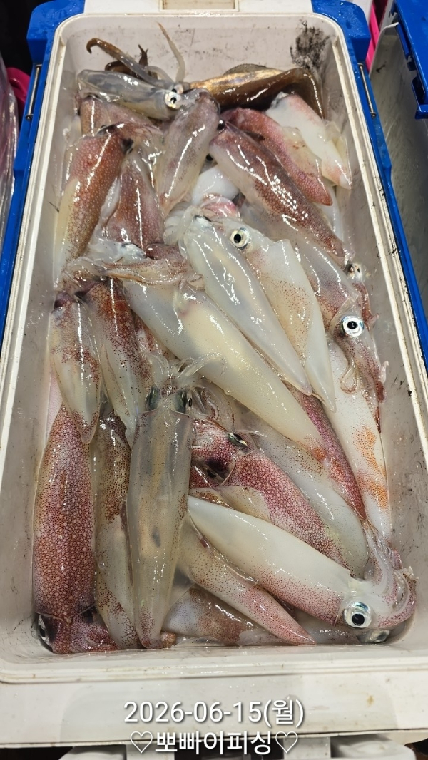 1000093978.jpg