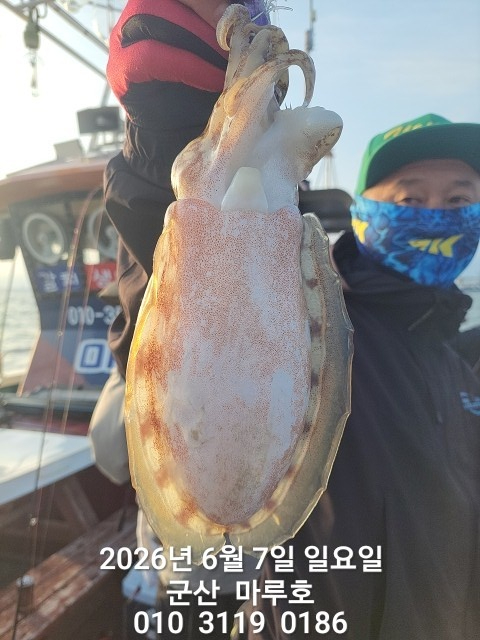 KakaoTalk_20260607_074222572.jpg