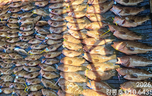 1000013128.jpg