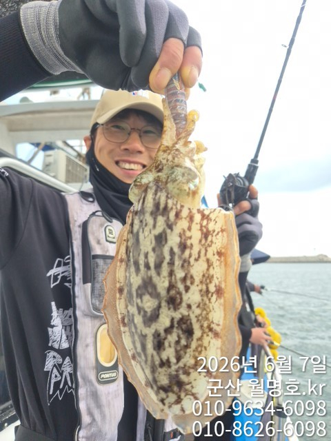 8636.jpg