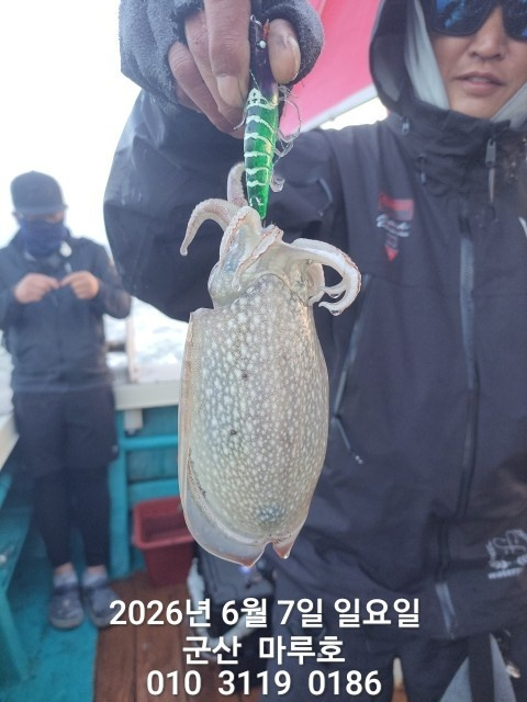 KakaoTalk_20260607_074225507.jpg